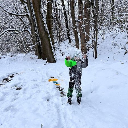 Srub V Bolkovskem Udoli Villa Rudník Екстериор снимка