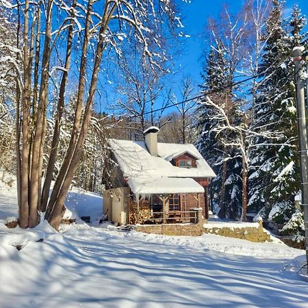 Srub V Bolkovskem Udoli Villa Rudník Екстериор снимка