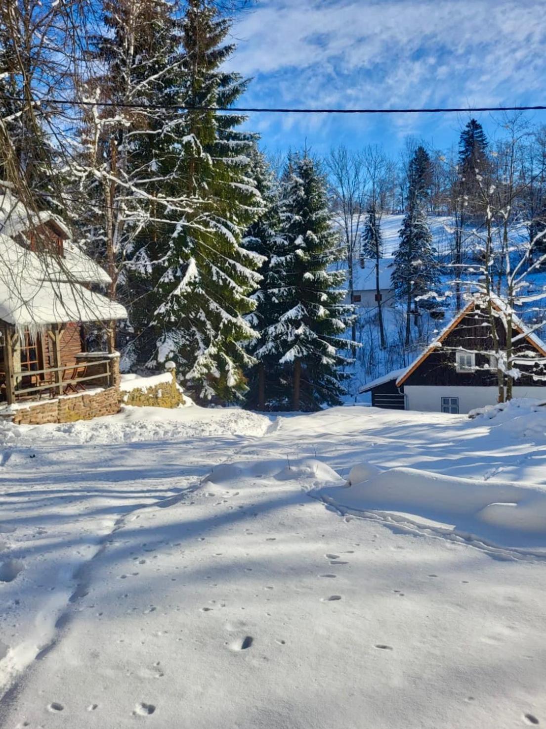 Srub V Bolkovskem Udoli Villa Rudník Екстериор снимка